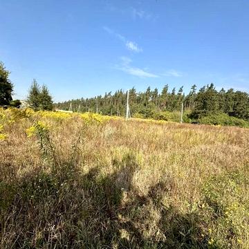 Ворзель, Бучанський, Київська область 22000.0 USD