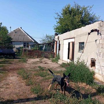 Продам будинок в Лобойківці