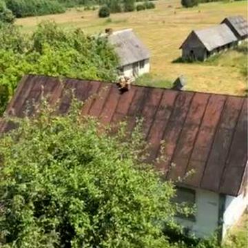Будинок хутір біля Полиць