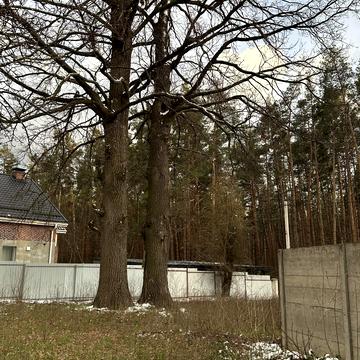 Центральна площа, Ірпінь, Бучанський, Київська область 83000.0 USD