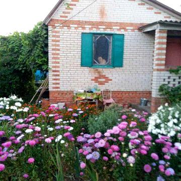 Дача на Олдиші, центр