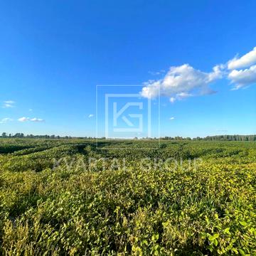 Бородянка, Бучанський, Київська область 26500.0 USD