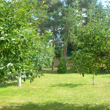 Оренда будинку.Софіївська Борщагівка.Без%