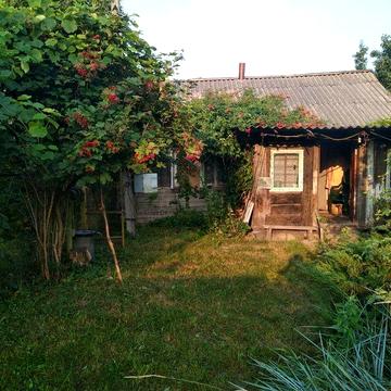 Хата в селі Пушкарі Козелецького району.