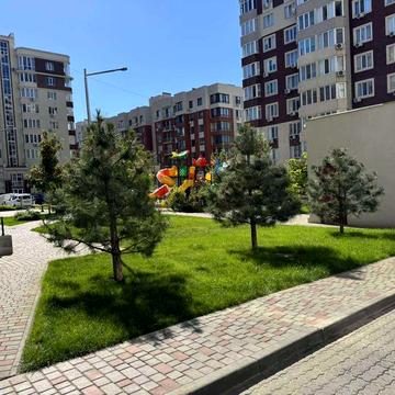 1-кімнатна квартира, Крижанівка, ЖК Золота Ера ЖК Золота Ера