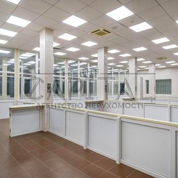 Дубовий Гай, 49