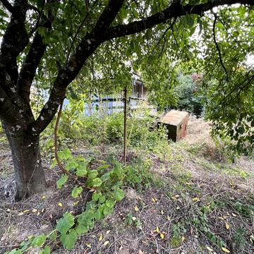 Пл. Народна, Ужгород, Закарпатська область 10000.0 USD
