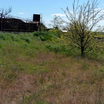 Степова вул.