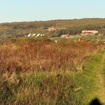 Баранинці, Ужгородський, Закарпатська область 30000.0 USD