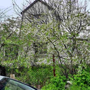 Сдам в аренду дачу