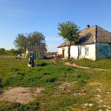 Продам дом в Песчанке с участком 50 соток
