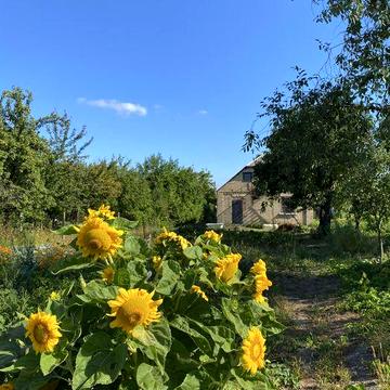 Терміново!!!Ділянка з будинком