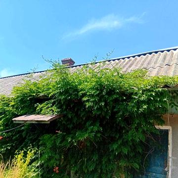 Продам дом в Беляевке