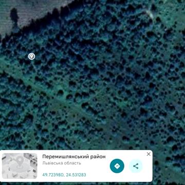 Лагодів, Золочівський, Львівська область 9000.0 USD