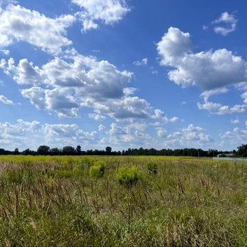 Гостомель, Бучанський, Київська область 1209000.0 USD