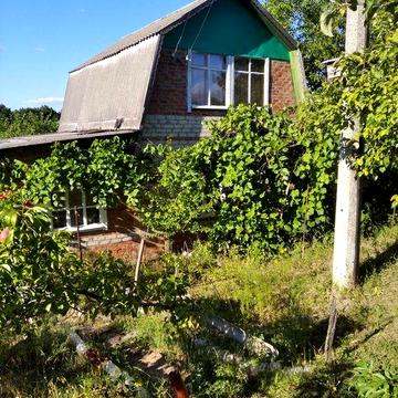 Продам дачу, Старая Покровка