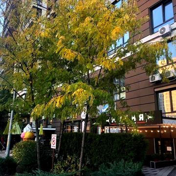 Продається євродвушка з ремонтом у ЖК ParkLand,  (Теремки) ЖК Паркленд