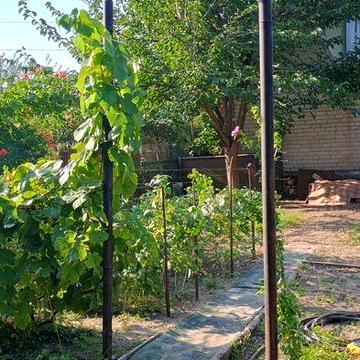 Продам дачу в Приднепровске