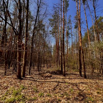 Гостомель, Бучанський, Київська область 12000.0 USD