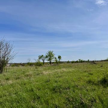 Гостомель, Бучанський, Київська область 12500.0 USD