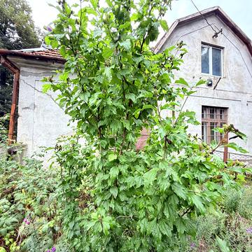 Едмунта Егана пл.