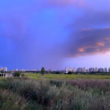 Погреби, Броварський, Київська область 20000.0 USD