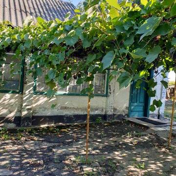 Продаж / Будинок / Мале Ладижене / код 5834