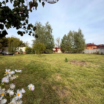 Абрикосова