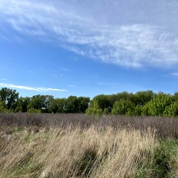 Новоолександрівка, Дніпровський, Дніпропетровська область 50000.0 USD