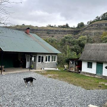 Здаємо будинок в оренду с.Цибулівка