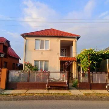 Продам будинок Берегівський район