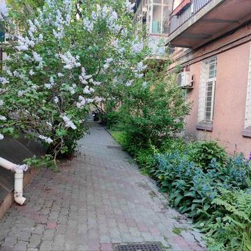 Можливість жити поруч з з парком