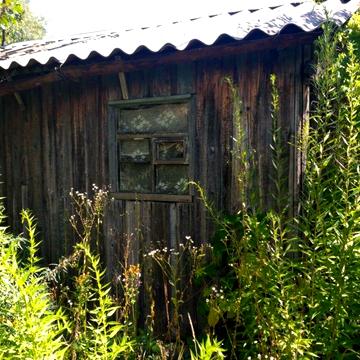 Продам дачу с.Новосілки Бучанського  р-ну  площою 0,063 га