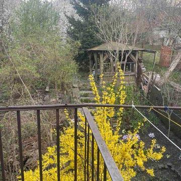 4к.кв.Личаківська, Кайзервальд