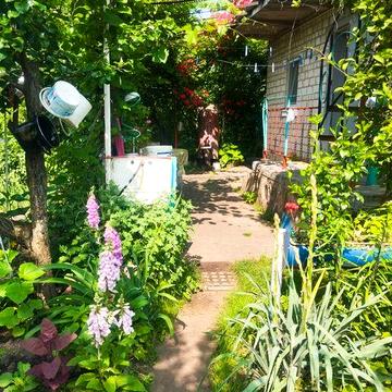 Продам дачу с. Власівка від Кременчука 15 км Кооператив Сади-2