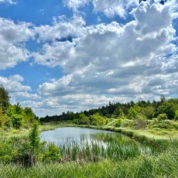 Мотижин, Бучанський, Київська область 450000.0 USD