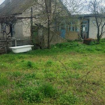 Продам сдам дом на долгий срок в с Лысогора