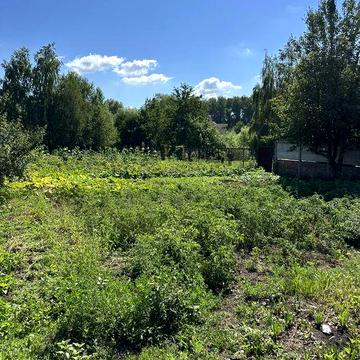 Продам будинок Суми Косівщина