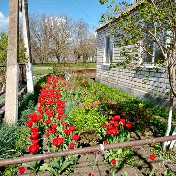 Продається будинок в місті Баштанка