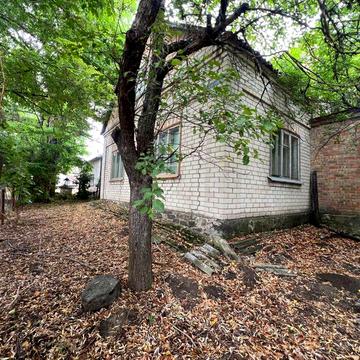 Продаж великого будинку село Орловець