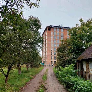 Пчілки, 5