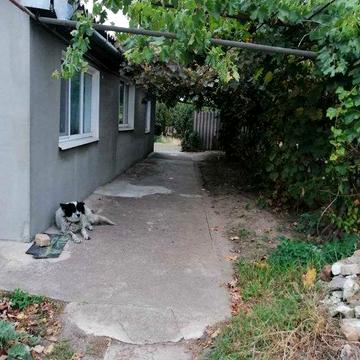 Продається будинок в смт Покровське