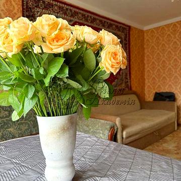 Продам 3-кімн. на Троещині БЕЗ КОМІСІЇ