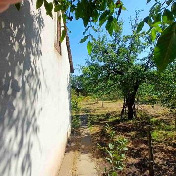 Продам свой дом в Светлом с участком