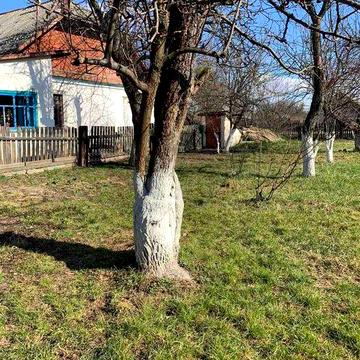Продаю пів будинку із великою земельною  ділянкою