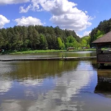 Горбовичі, Бучанський, Київська область 105000.0 USD