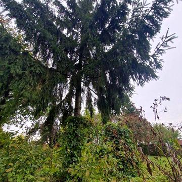 Продаж 1к Дім Ніни Сосніної вулиця