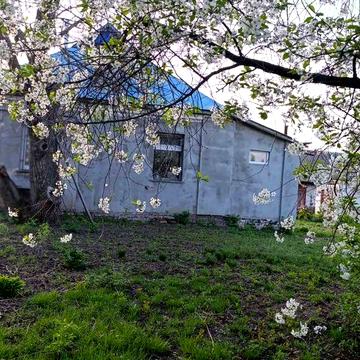 Будинок у селі 80 км від Києва.