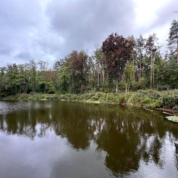 Ходосівка, Обухівський, Київська область 350000.0 USD