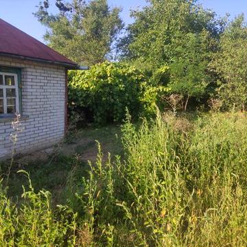 Будинок в центрі, ділянка 25 соток с.Копачів